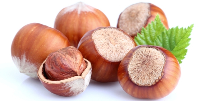 Berbagai Manfaat Kacang Hazelnut Untuk Kesehatan